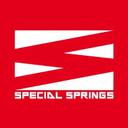 Special Springs SRL