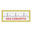 EKG CONCEPTS LLC