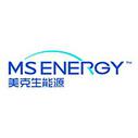 Shanghai Meikesheng Energy Storage Technology Co Ltd.