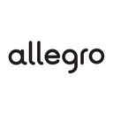 Allegro Artificial Intelligence Ltd.