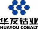 Zhejiang Huayou Cobalt Co., Ltd.