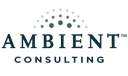 Ambient Consulting LLC