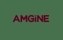 Amgine Technologies Ltd.