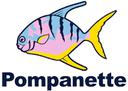 Pompanette LLC