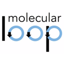 Molecular Loop Biosciences, Inc.
