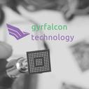 Gyrfalcon Technology Inc.
