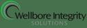 Wellbore Integrity Solutions LLC