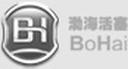 Shandong Binzhou Bohai Piston Co., Ltd.