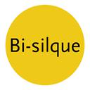 Bi-Silque Produtos de Comunicaçao Visual SA