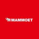 Mammoet Holding BV