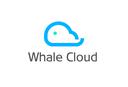Whale Cloud Technology Co., Ltd.