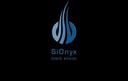SiOnyx LLC