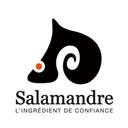 Salamandre SARL