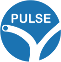 Pulse Medical Imaging Technology Shanghai Co. Ltd.