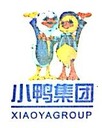 Shandong Xiaoya Group Small Appliance Co., Ltd.