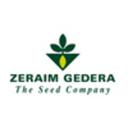 Zeraim Gedera Ltd.