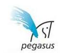 Pegasus Technologies Ltd.
