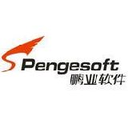 Chengdu Pengesoft Co., Ltd.