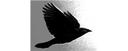 Blackbird Holdings, Inc.
