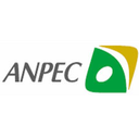 Anpec Electronics Corp.