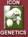 Icon Genetics GmbH