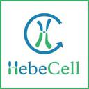 HebeCell Corp.