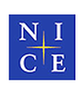 NICE Holdings Co., Ltd.