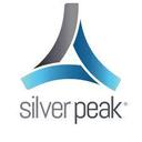 Silver Peak Systems, Inc.