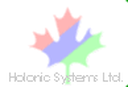 Holonic Systems