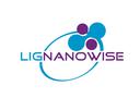 LIG Nanowise Ltd.