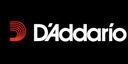 D'Addario & Co., Inc.