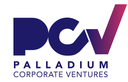 Sociedad Palladium Corporate Venture SL