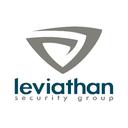 Leviathan Security Group, Inc.