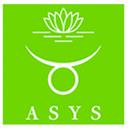 ASYS Automatic Systems GmbH & Co. KG