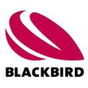 Blackbird Robotersysteme GmbH