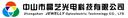 Zhongshan Jewelly Optoelectronic Technology Co Ltd