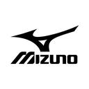 Mizuno Technics Corp.
