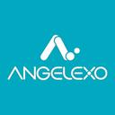Angela Technology Hangzhou Co Ltd.