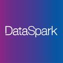 Dataspark Pte Ltd.