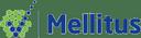 Mellitus LLC