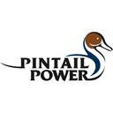 Pintail Power LLC