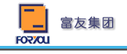 Shandong Fuyou Co., Ltd.