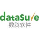 Shanghai Datasure Software & Technology Co., Ltd.