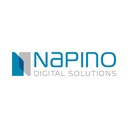Napino Auto & Electronics Ltd.