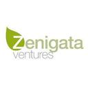 Zenigata Ventures, Inc.