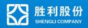 Shandong Shengli Co., Ltd.
