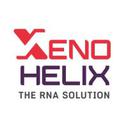 Xenohelix Co. Ltd.
