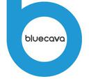BlueCava, Inc.