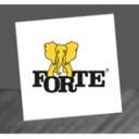 Fabryki Mebli Forte SA