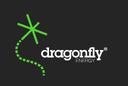 Dragonfly Energy Corp.